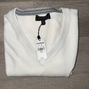 Express Men’s V-Neck Sweater